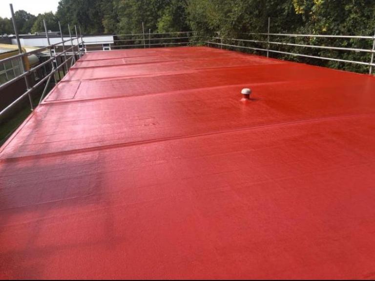 The first coat