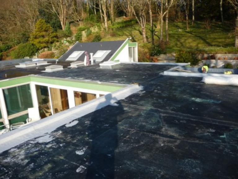 After clearing the chippings and moss, the roof was washed and primed