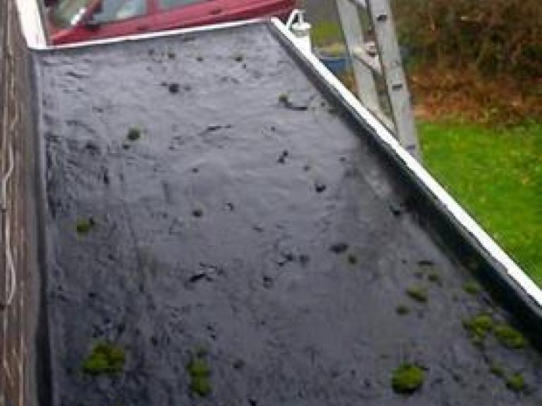 Water was pooling and moss growing