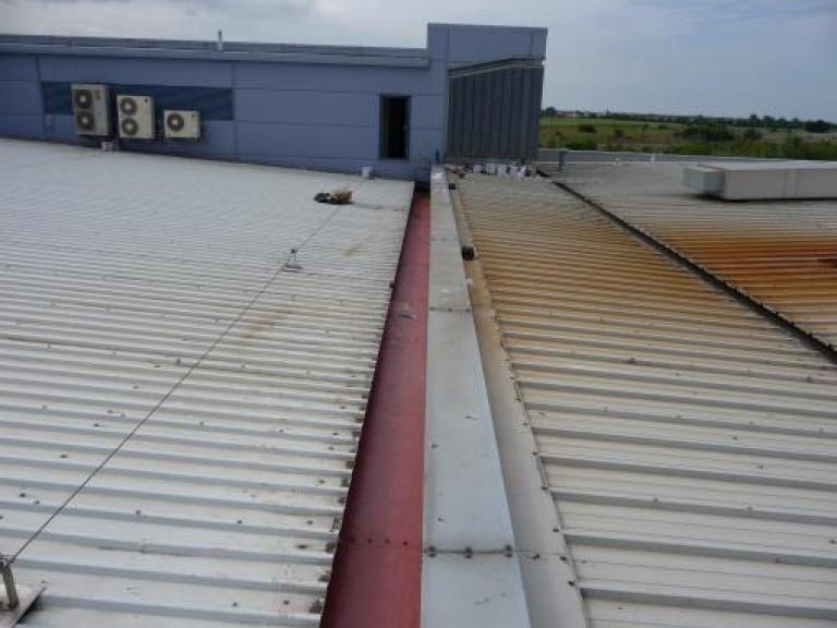 After initial site preparation, we applied a 1st coat